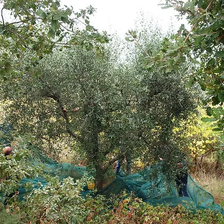 Manu Сasa de vacaciones Lapedona