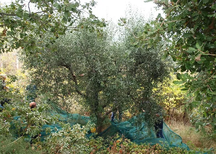 Manu Casa vacanze Lapedona